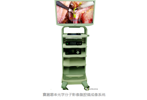 《Frontiers in Oncology》刊发山西医科大学******医院泌尿外科杨晓峰教授团队******成果